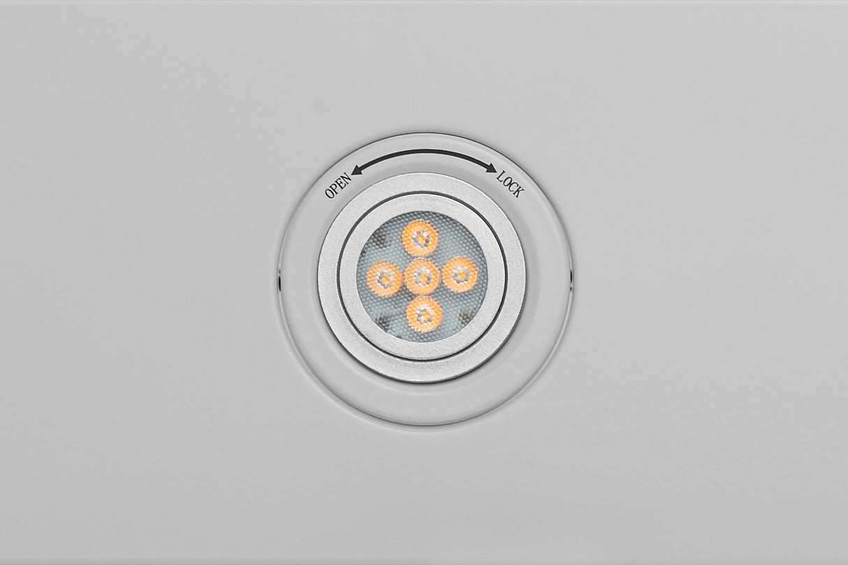 UC-PS19