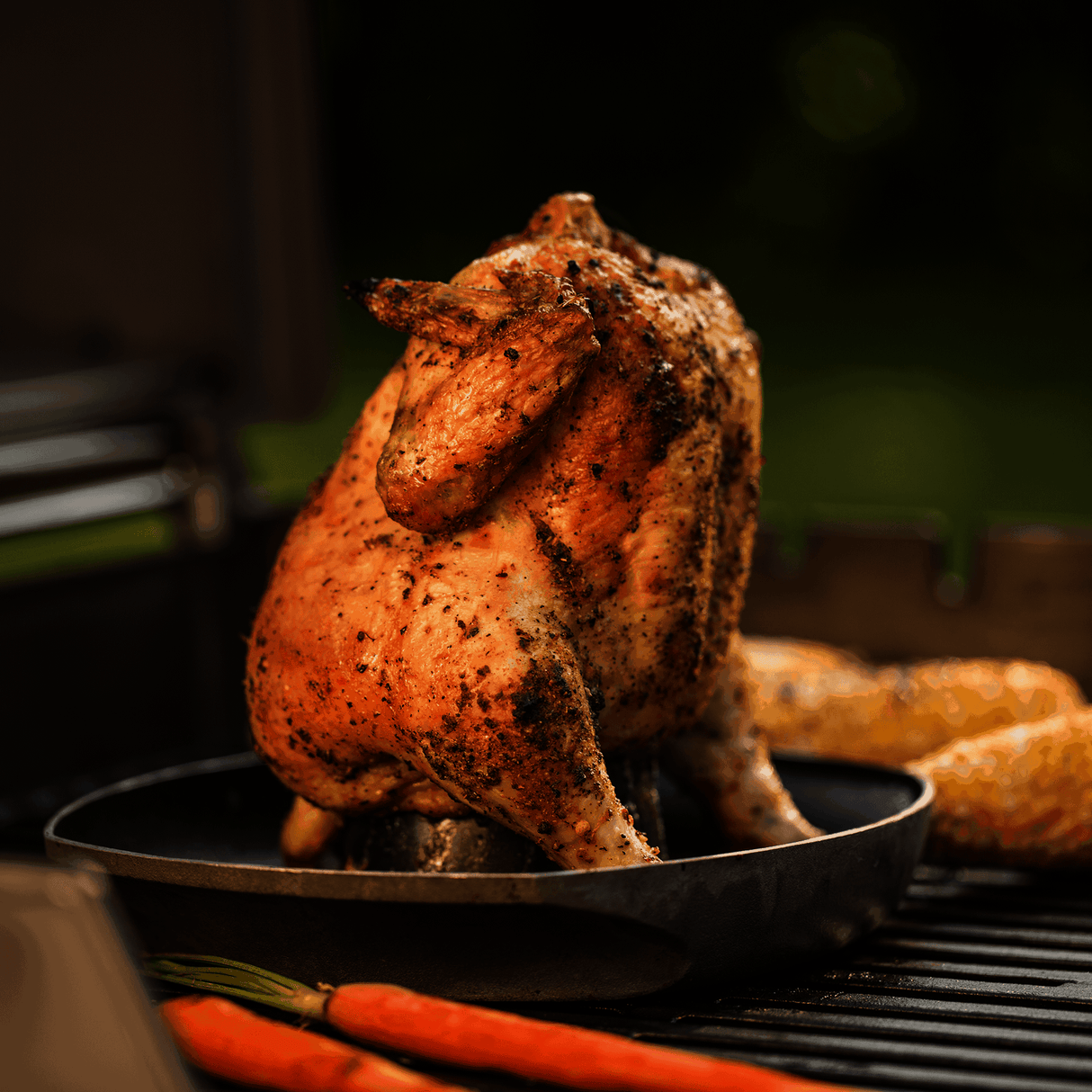 Deluxe Poultry Roaster