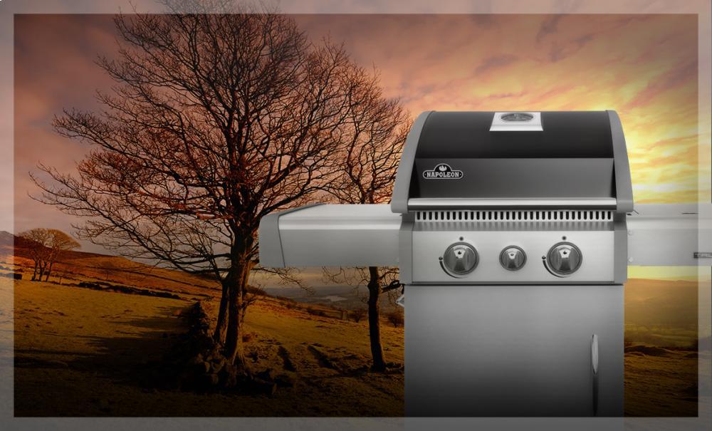 Triumph® 325 with Side Burner