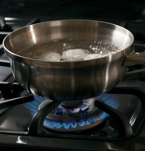 GE Profile™ Series 30" Free-Standing Self Clean Gas Range