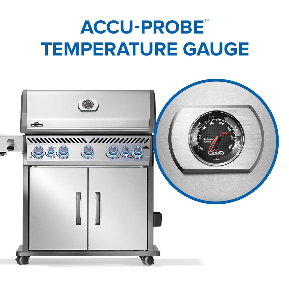 Rogue PRO-S 625 RSIB with Infrared Side and Rear Burner , Natural Gas, Stainless Steel
