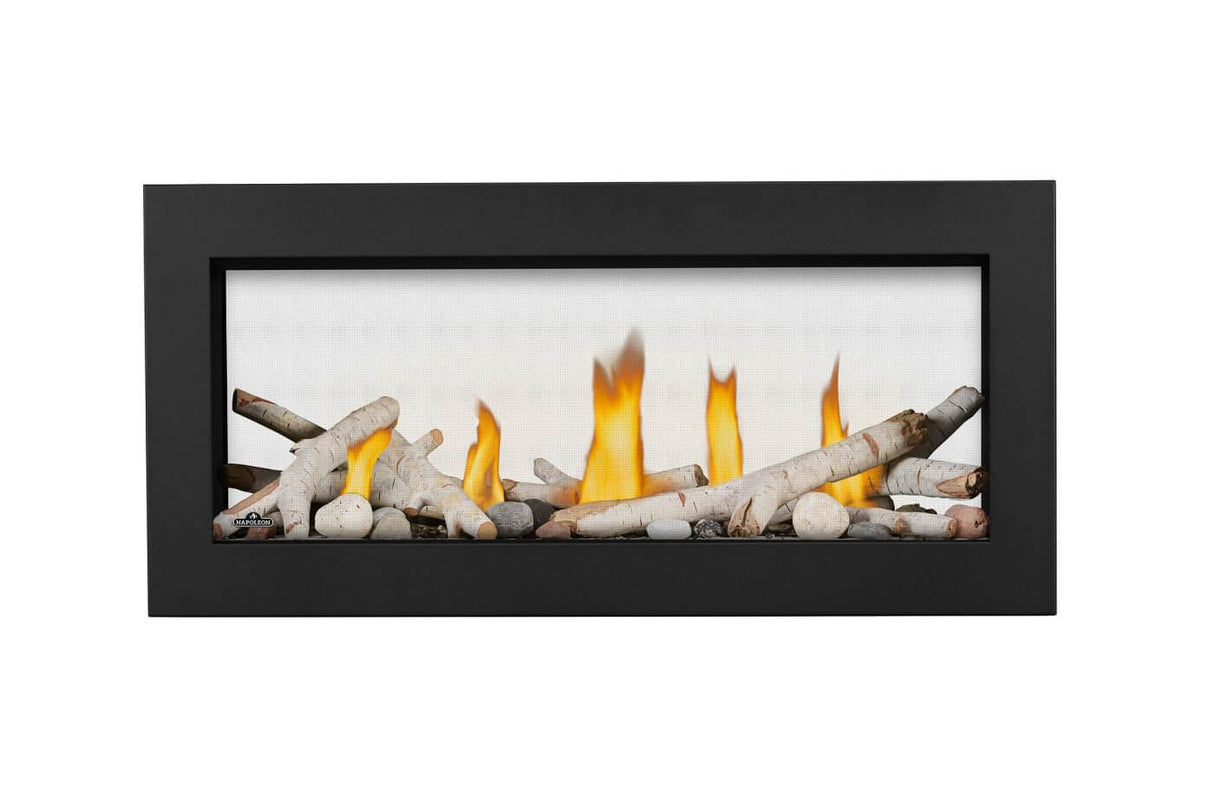 Vector? 38 See Through Direct Vent Gas Fireplace
