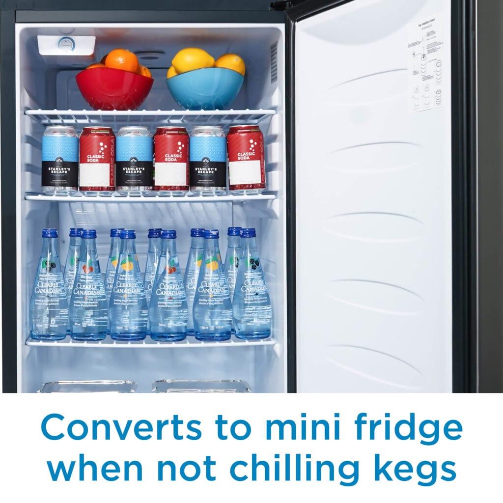 Danby 5.4 cu. ft. Single-Tap Keg Cooler in Stainless Steel