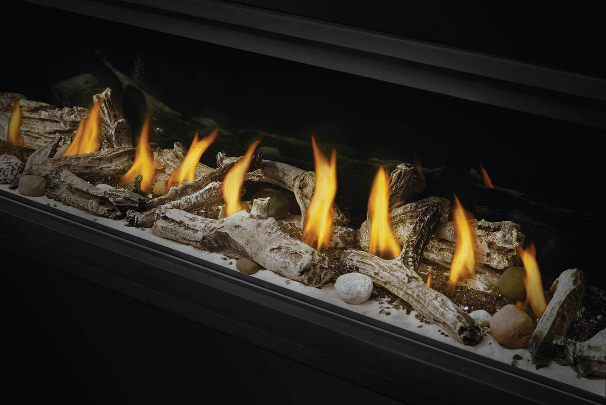 Vector? 50 See Through Direct Vent Gas Fireplace