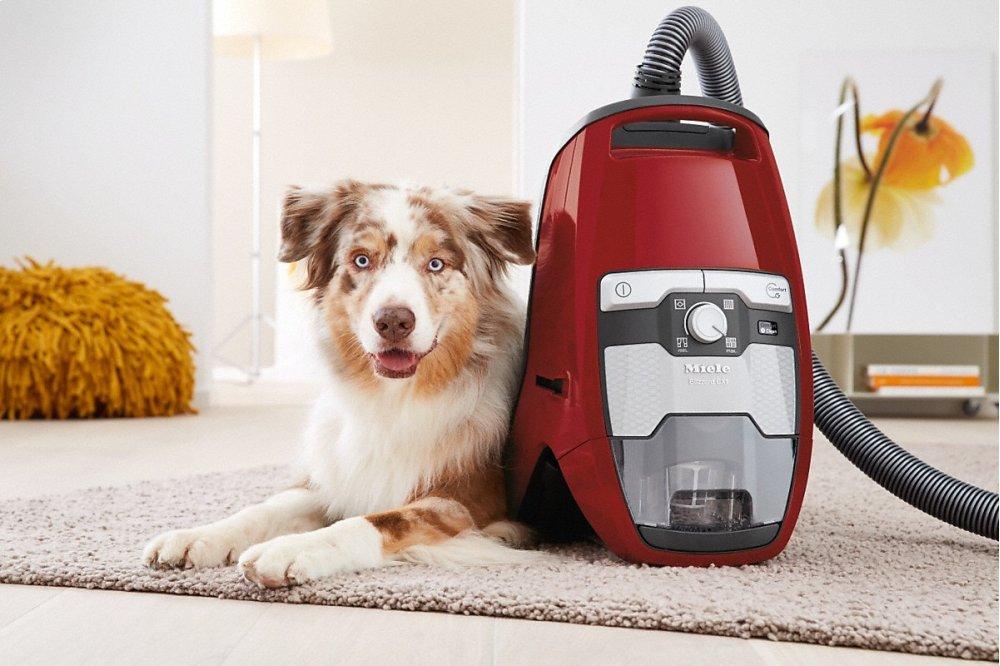 Blizzard CX1 HomeCare PowerLine - SKCE0 Bagless canister vacuum cleaners with electrobrush for thorough cleaning of heavy-duty carpeting.