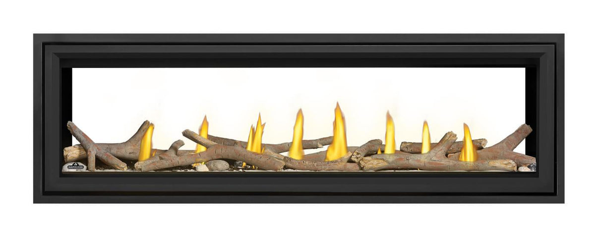 Vector? 62 See Through Direct Vent Gas Fireplace