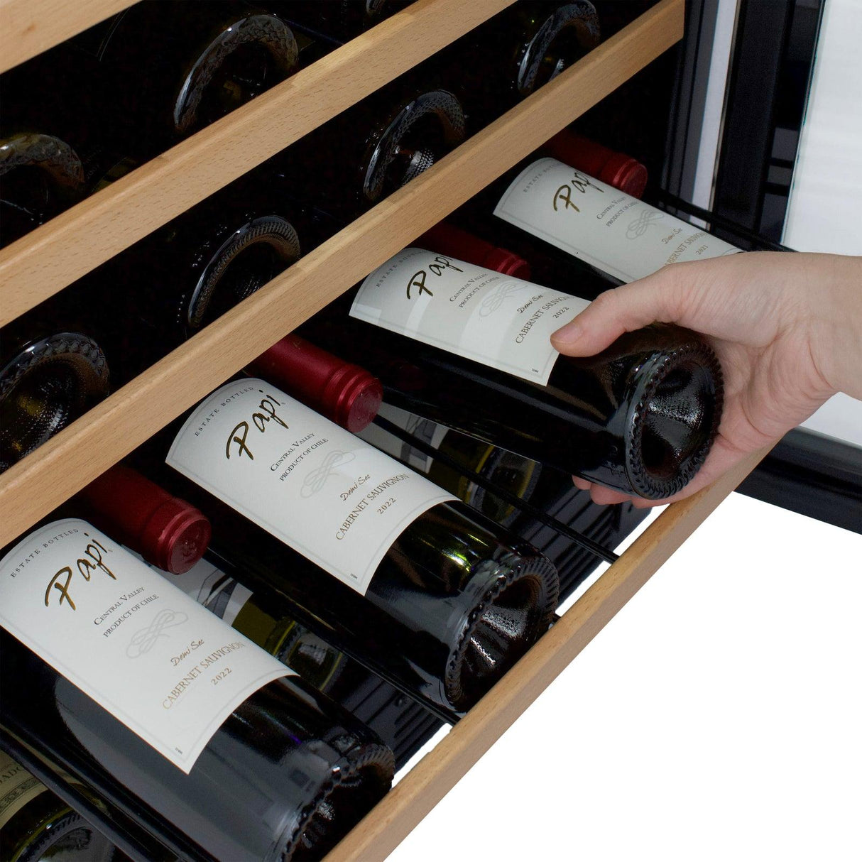 Avanti 51 Bottle Wine Cooler