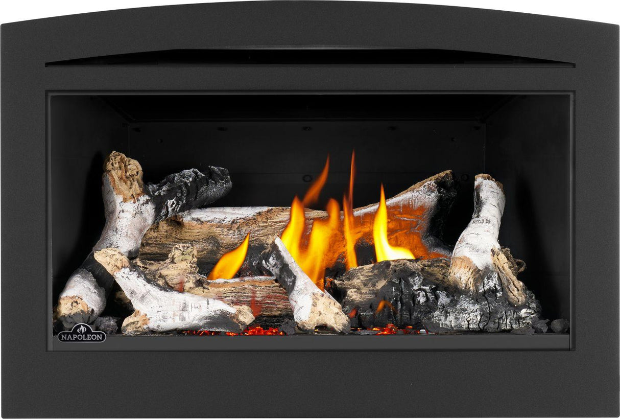 Rosedale 2 Direct Vent Gas Insert