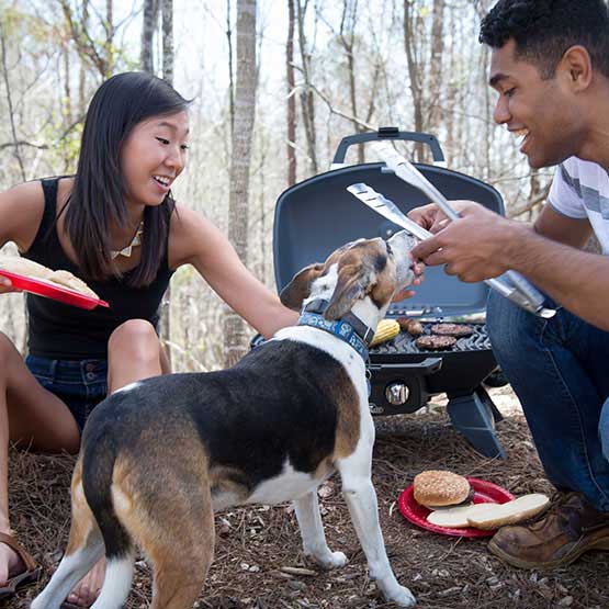 TravelQ 285 Portable Gas Grill in Blue