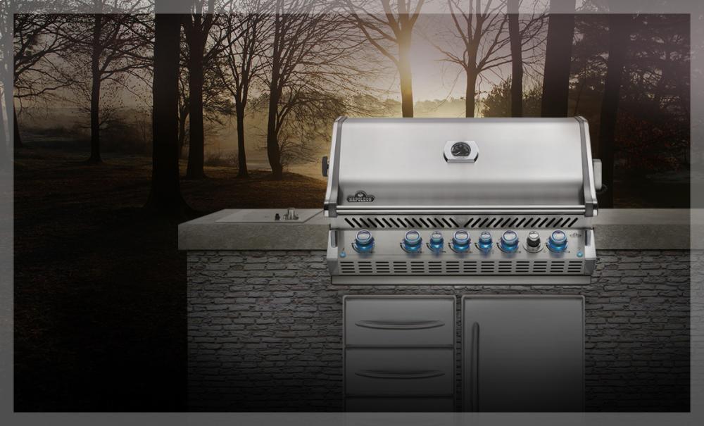 Built-In Prestige PRO 665 with Infrared Rear Burner