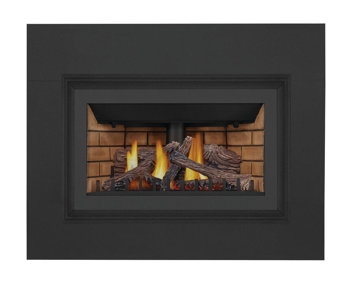 Inspiration ZC Direct Vent Gas Insert