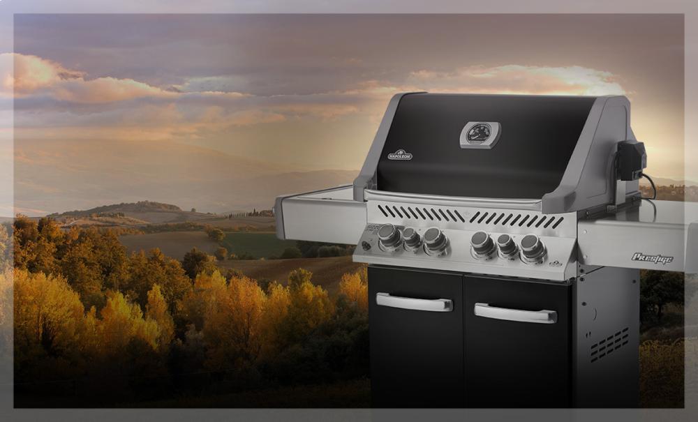 Prestige® 500 with Infrared Side and Rear Burners