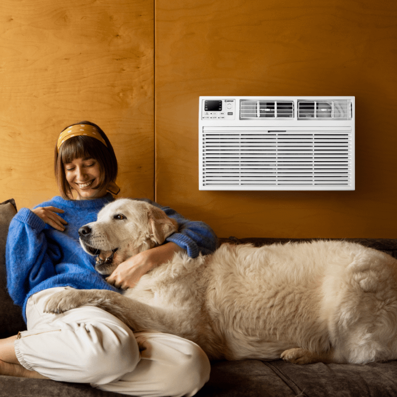 Element Through-the-Wall 14,000 BTU, 230V Air Conditioner - White (ETTW14EV)