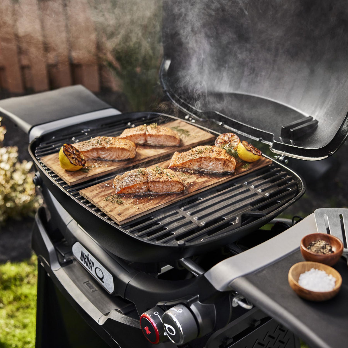 Q 2800N+ Gas Grill with Stand (Liquid Propane) - Midnight Black
