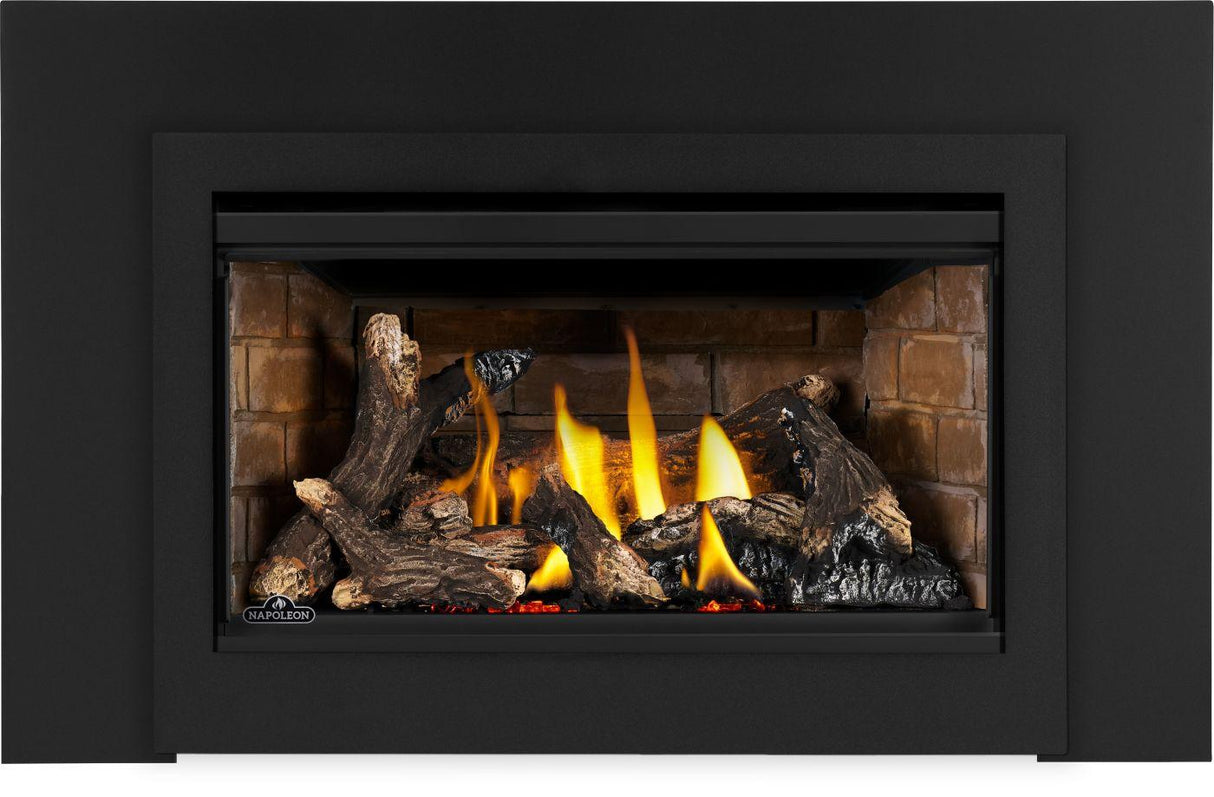 Rosedale 2 Direct Vent Gas Insert
