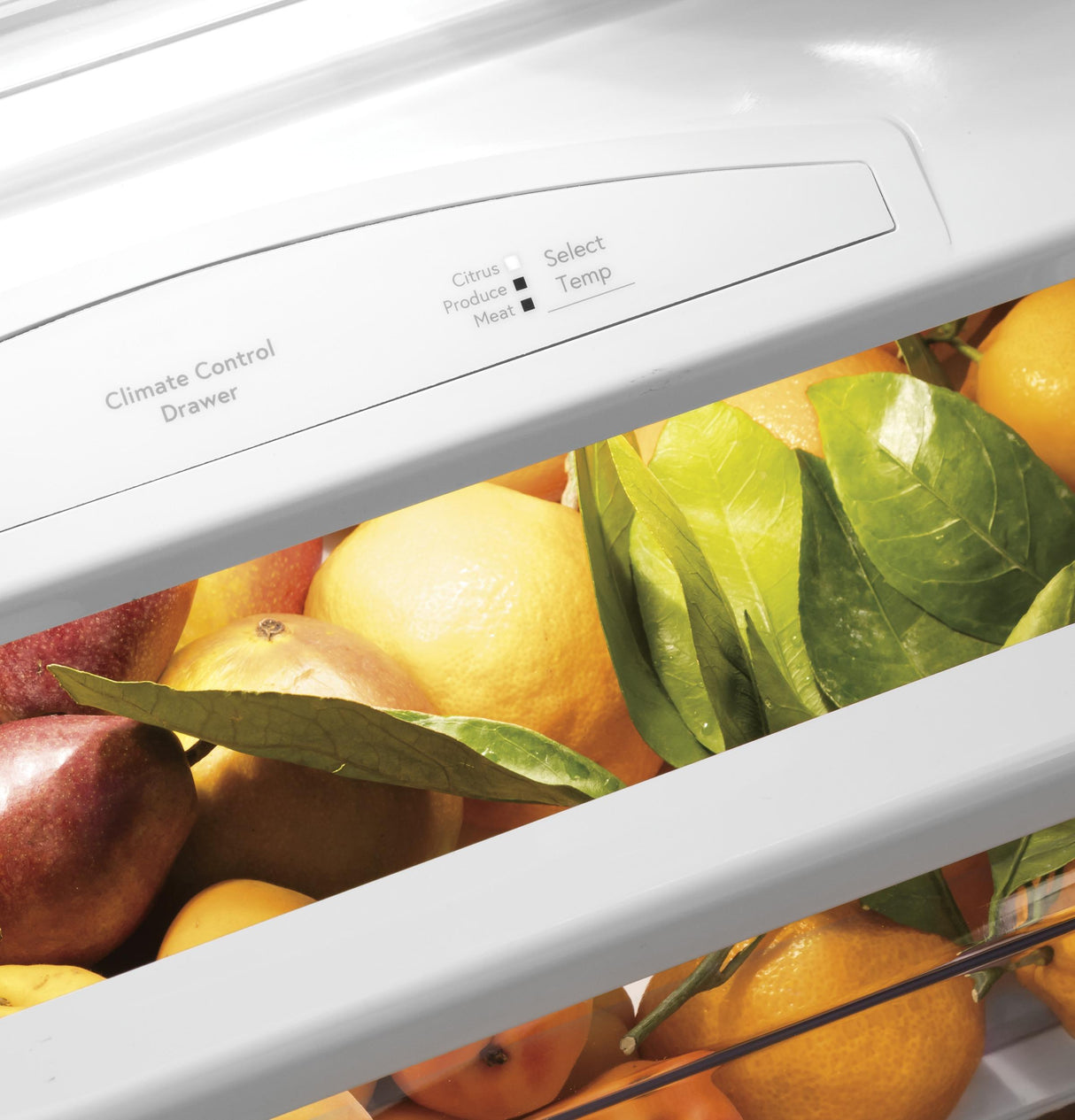 GE Profile™ Series 42" Smart Built-In Side-by-Side Refrigerator with Dispenser