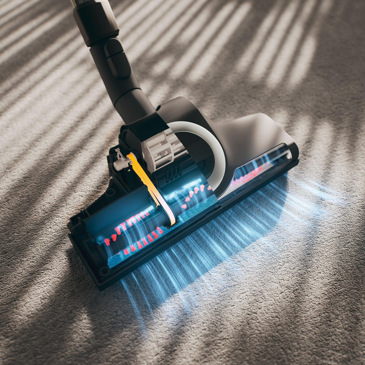 Blizzard CX1 TurboTeam PowerLine Tech blue - Bagless canister vacuum cleaners with Turbobrush - ideal for pet lovers.