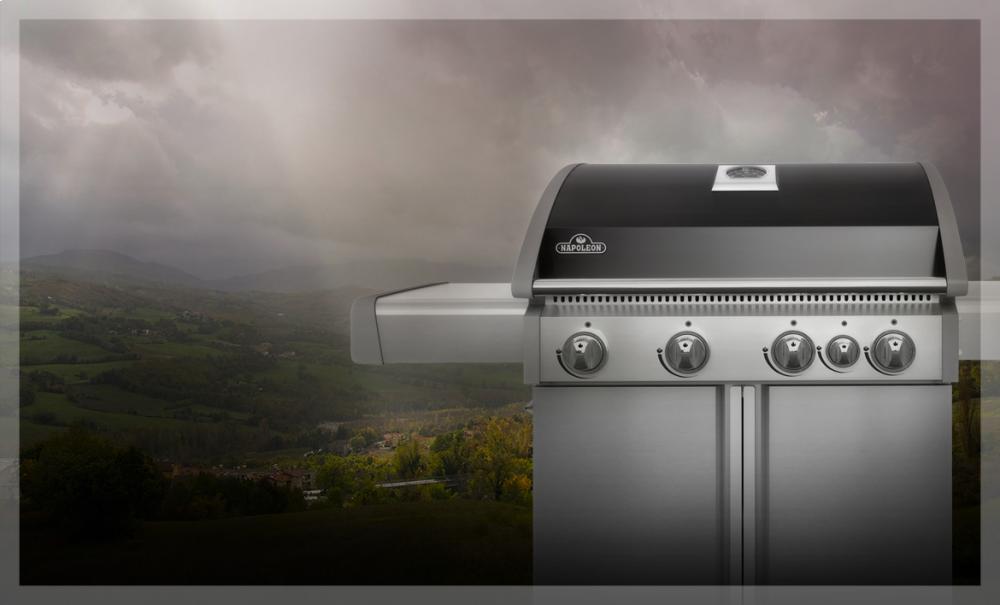 Triumph® 495 with Side Burner