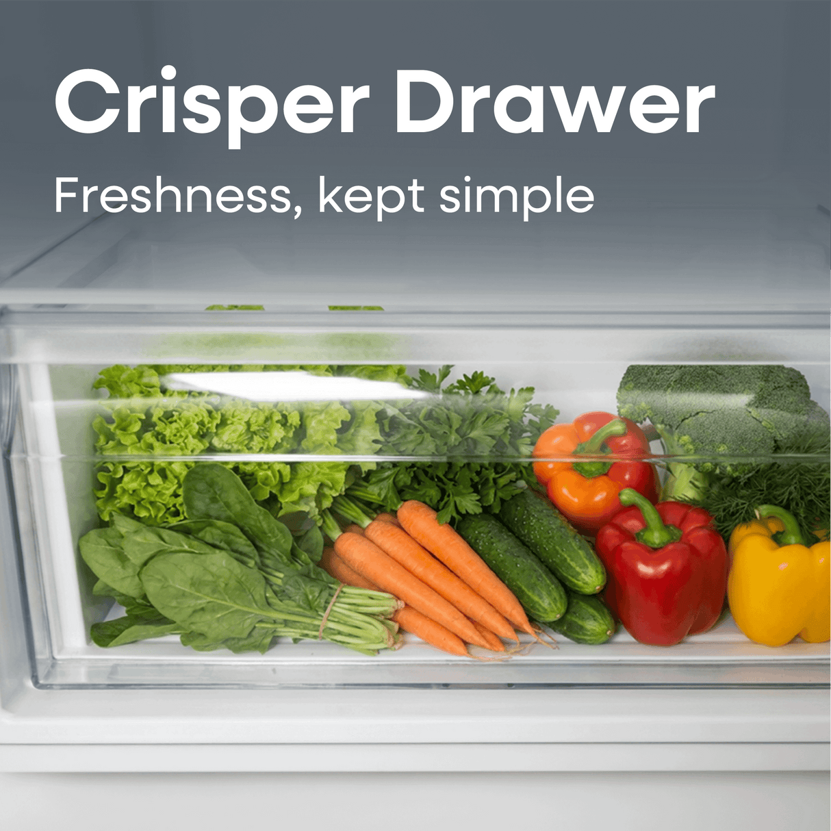 Element 21.3 in. 7.4 cu. ft. Compact Top Freezer Refrigerator - White