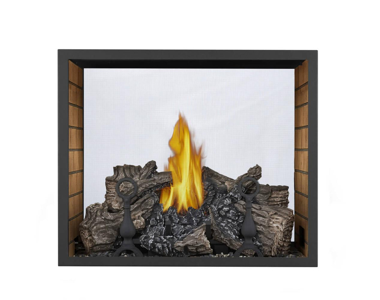 High Definition 81 Direct Vent Gas Fireplace