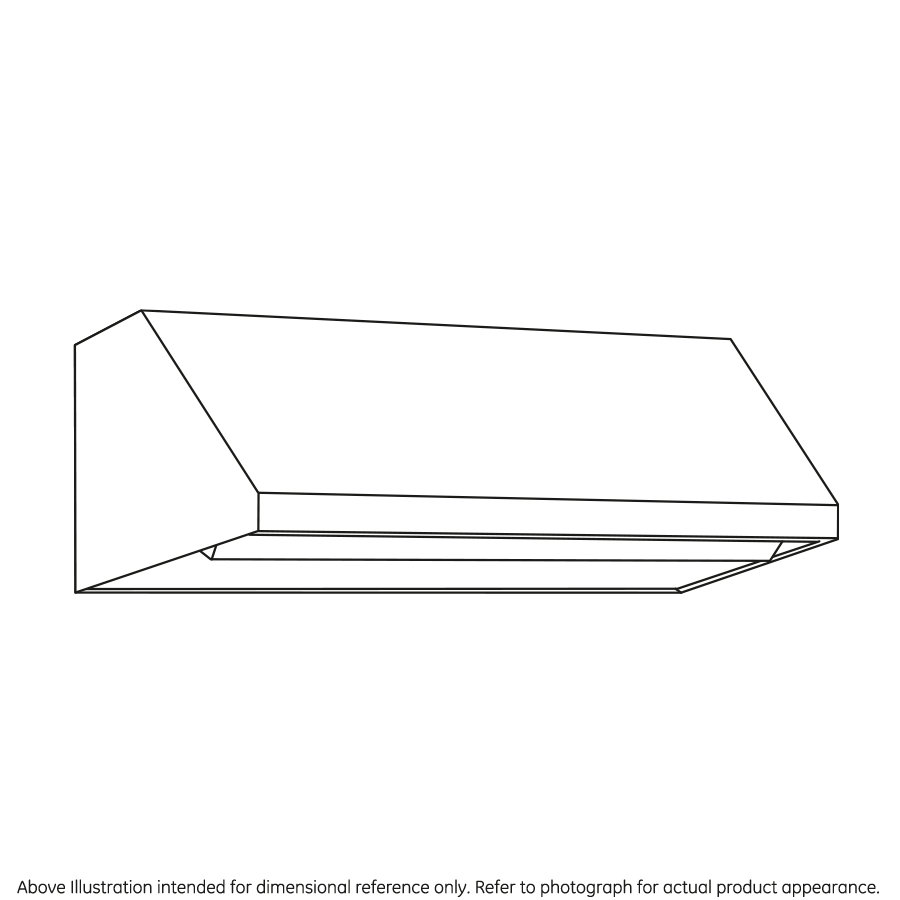 48" Professional Hood