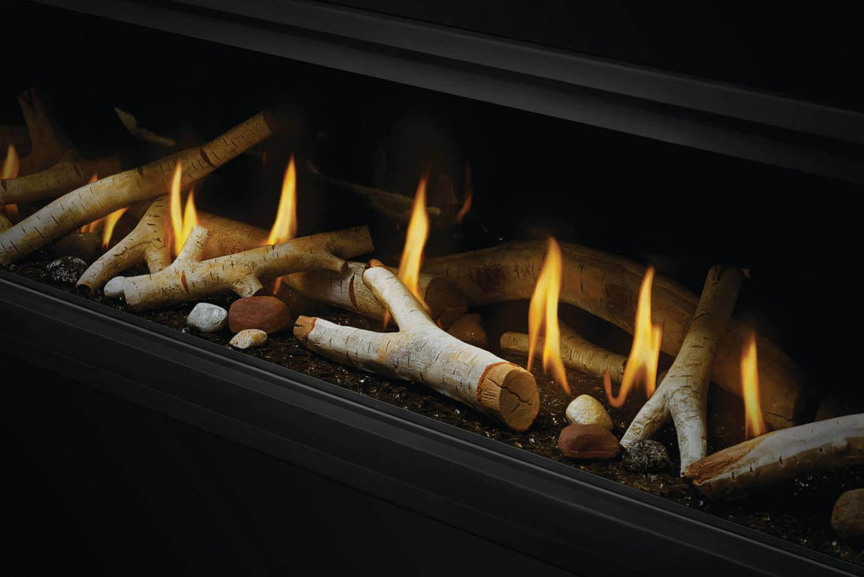 Vector? 74 See Through Direct Vent Gas Fireplace