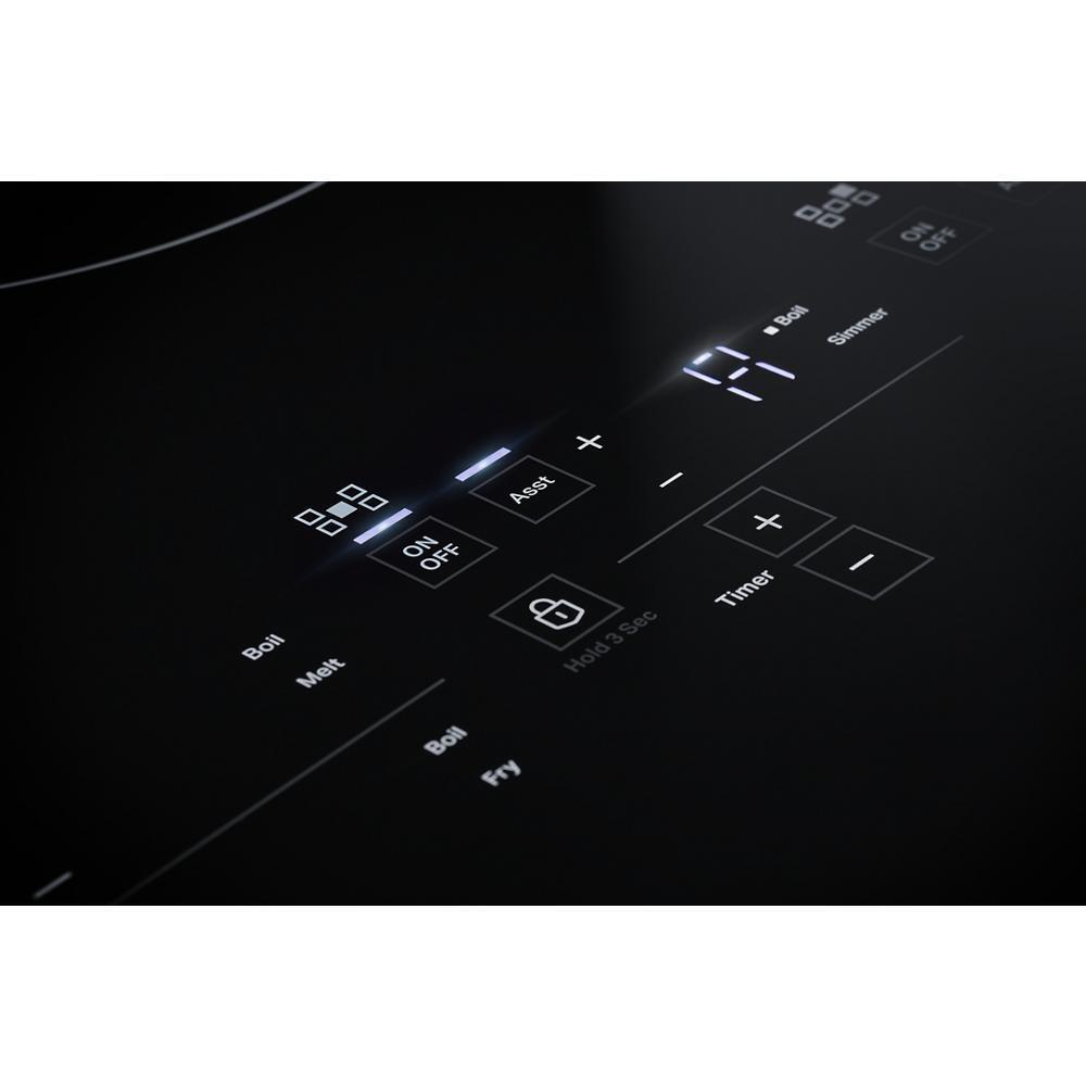Oblivion 30" Induction Cooktop