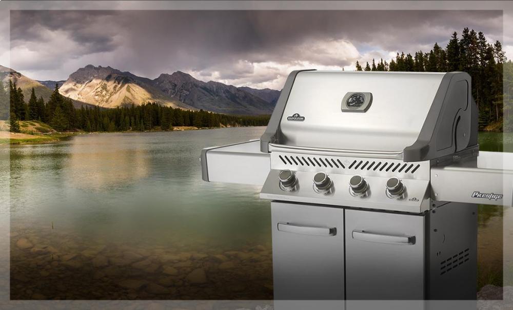 Prestige® 500