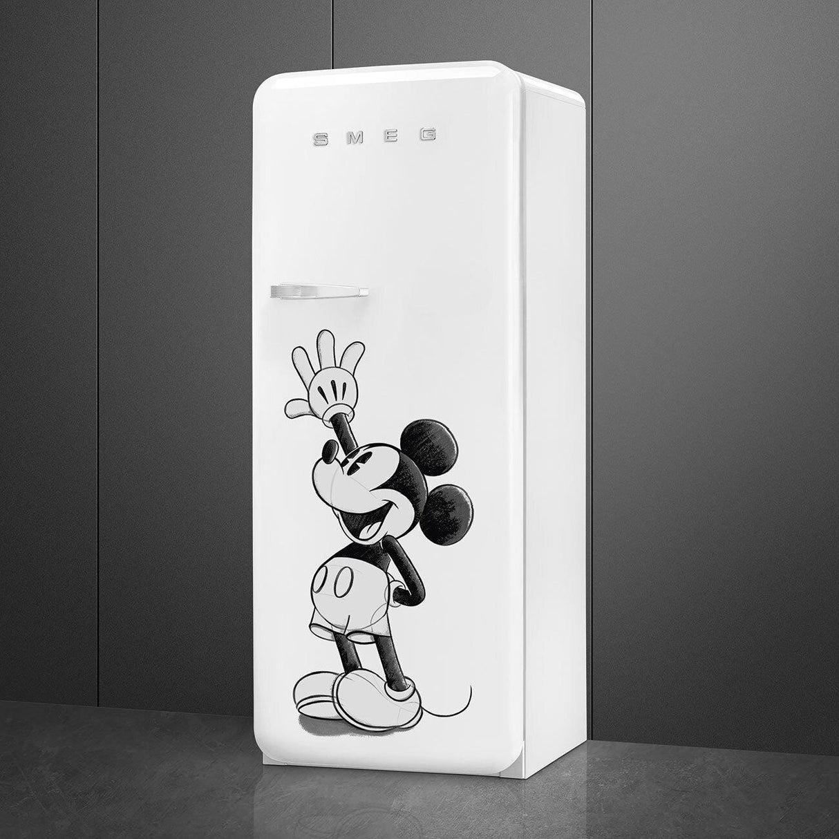 Refrigerator Decorated / Special FAB28URDMM4