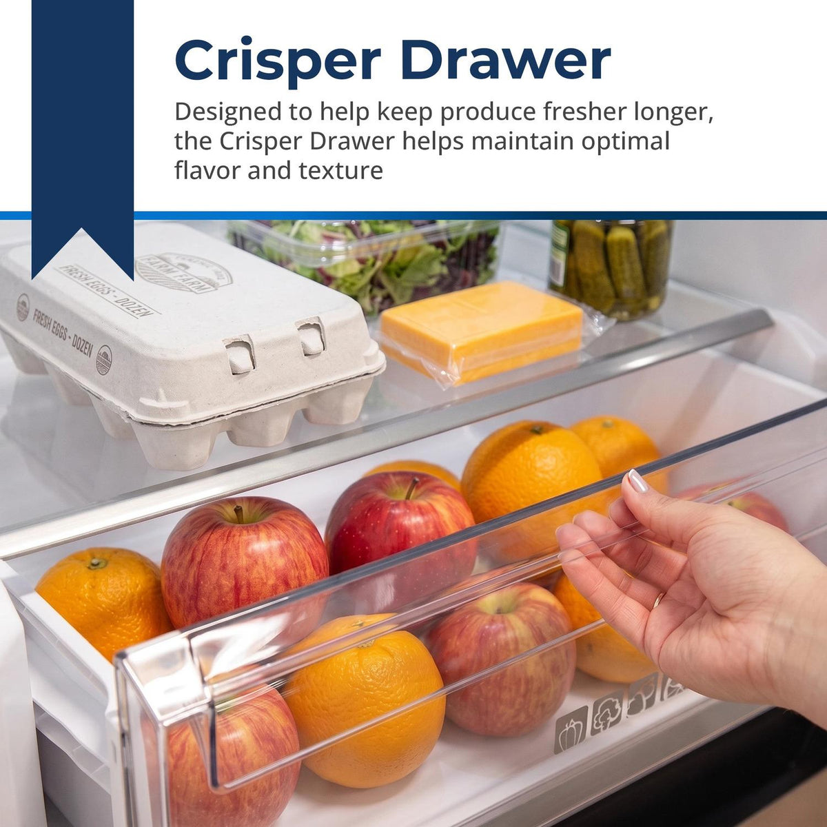 10.4 cu. ft. Counter Depth 24 in. Bottom Freezer 2-Door Refrigerator with Reversible Door in Stainless Steel