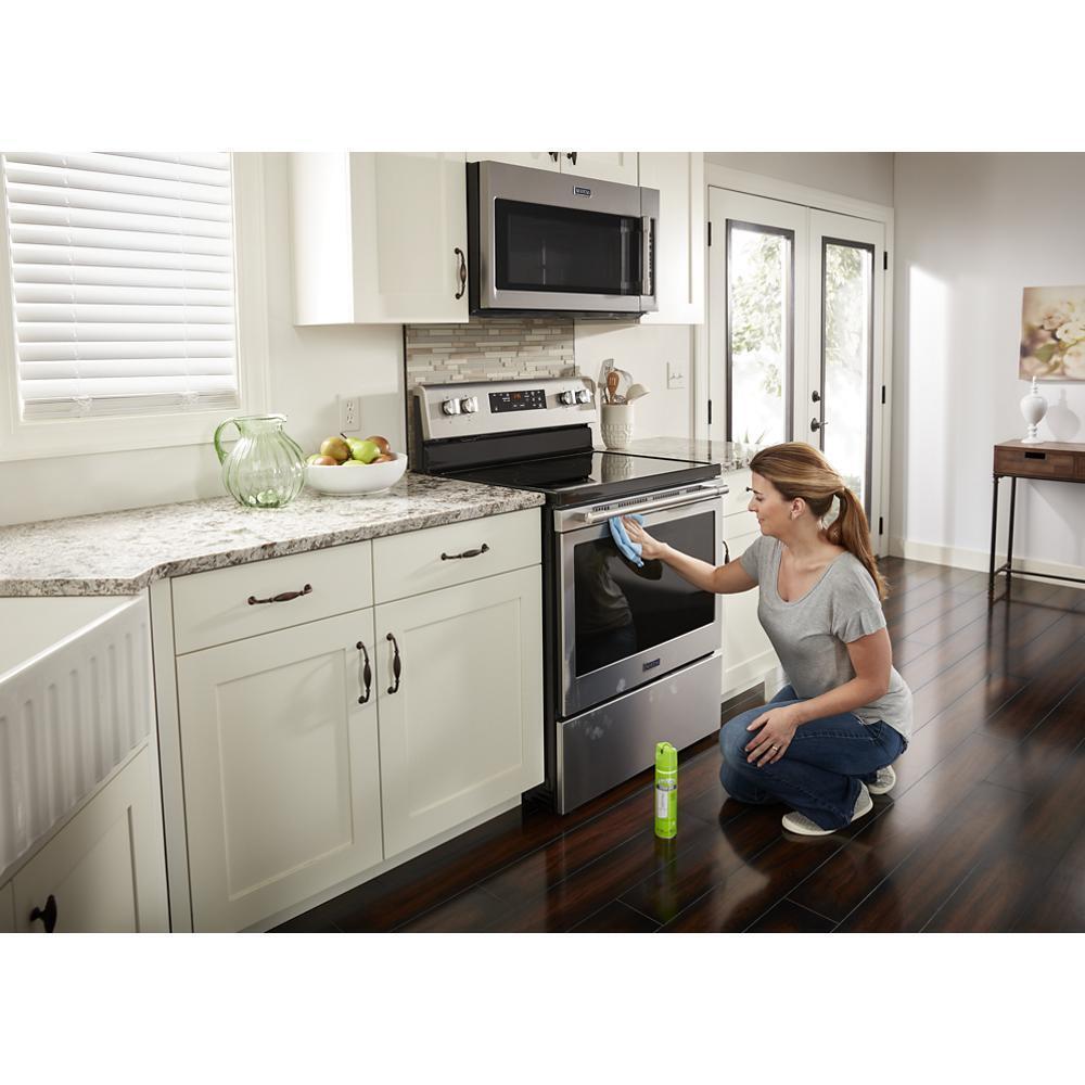 Affresh® Stainless Steel Cleaning Spray
