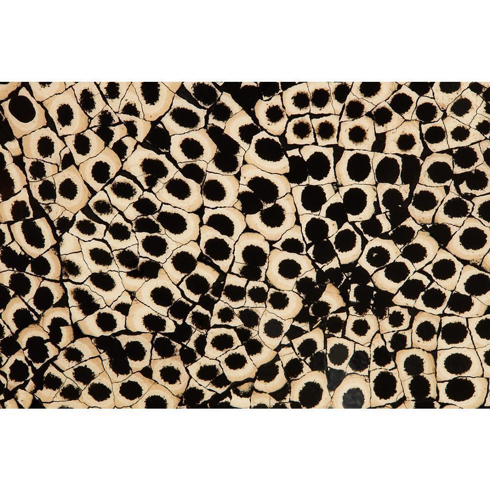 24" Elements Collection Eggshell Snakeskin Black Custom Column Panel
