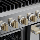 HausPro Range 48"