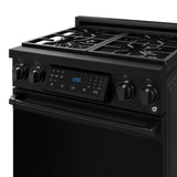 30 Inch Professional Gas Range With Precision Knob Control In Black