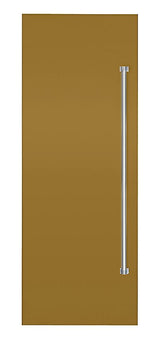 Stainless Steel or Color Door Panel - VICDP30 Stainless Steel or Color Door Panel