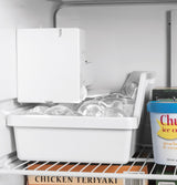 GE® ENERGY STAR® 19.2 Cu. Ft. Top-Freezer Refrigerator