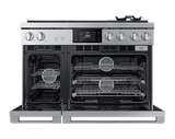 48" Dual-Fuel Steam Range, Silver Stainless, Natural Gas/Liquid Propane