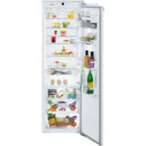 Built-In ALL Refrigerator 24", BioFresh, Right Hinge