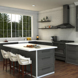 ZLINE Gemini Kitchen Faucet in Brushed Nickel (GEM-KF-BN)