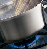 GE® 30" Free-Standing Gas Range