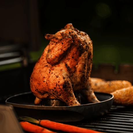 Deluxe Poultry Roaster