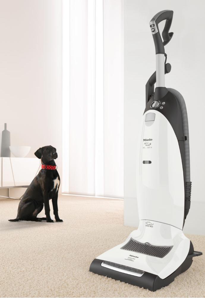 S7260 Cat & Dog