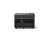 48"W. Induction Range (Finish: Antique Bronze, Trim: Brushed Brass)