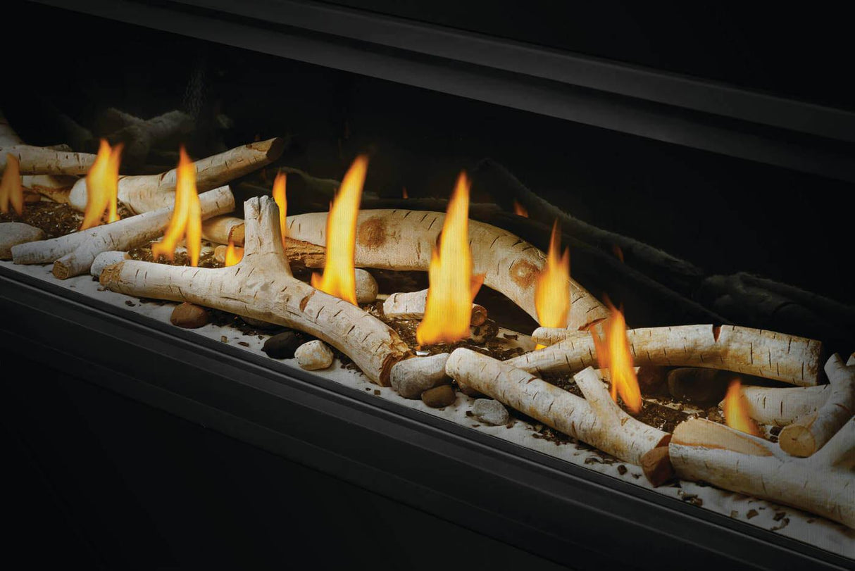 Luxuria? 62 See Through Direct Vent Gas Fireplace