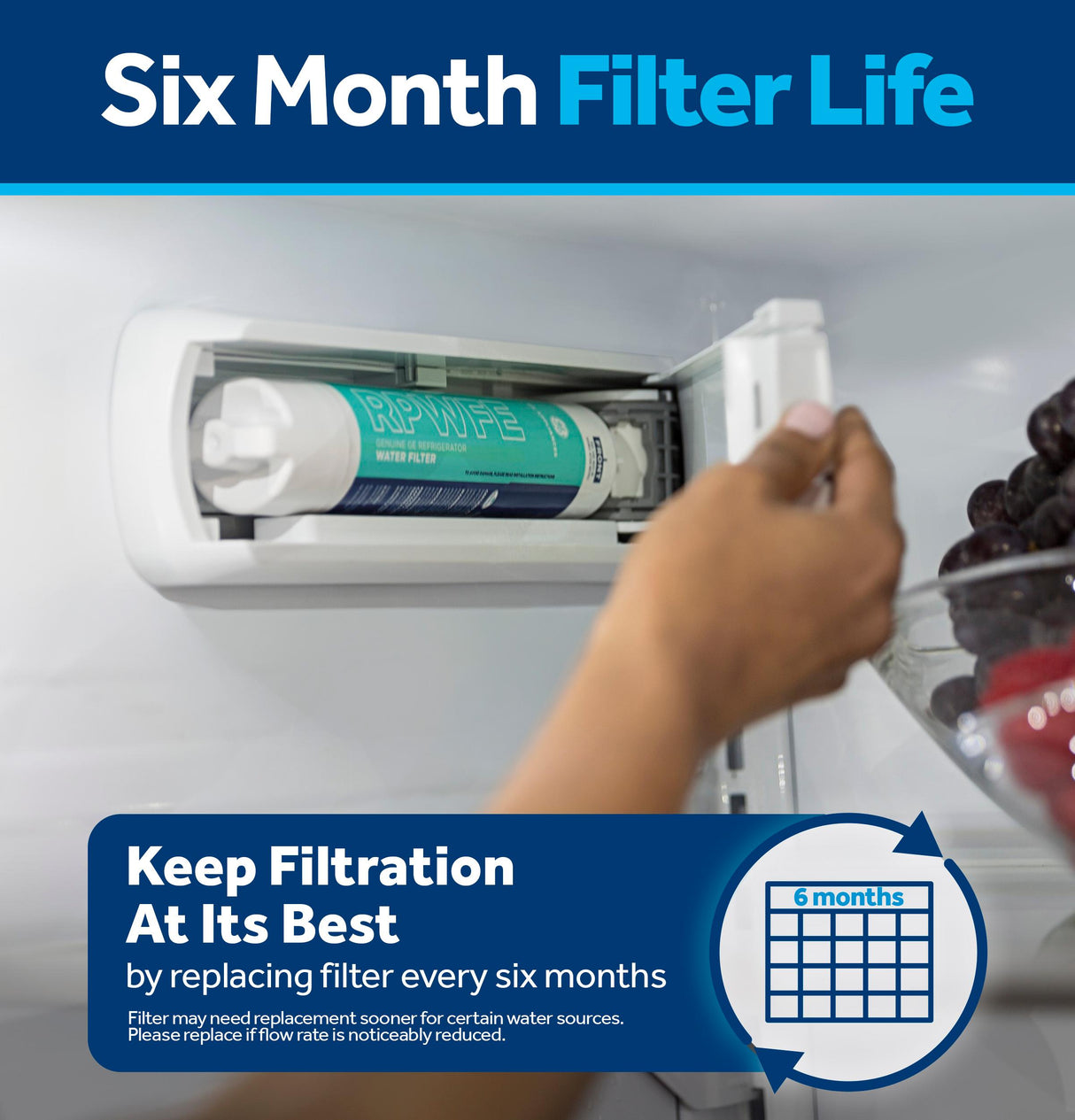 GE® RPWFE™ REFRIGERATOR WATER FILTER