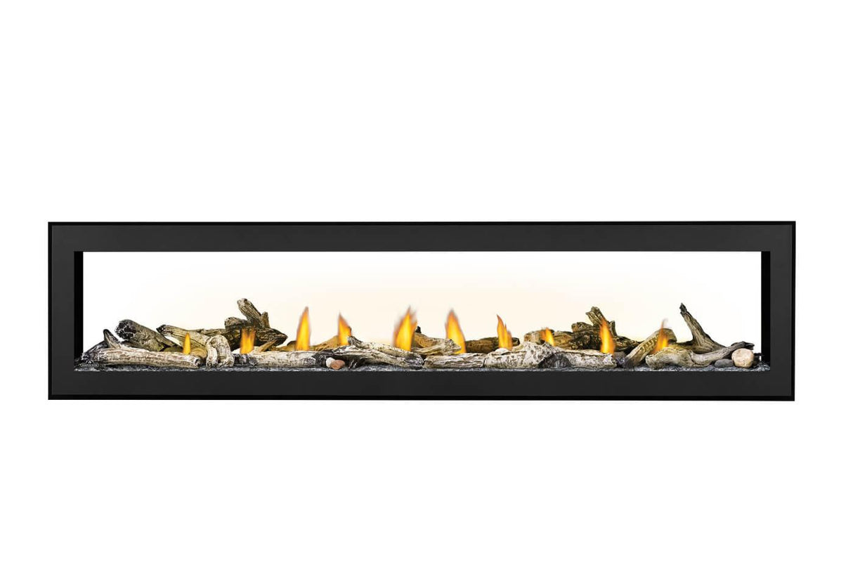 Vector? 74 See Through Direct Vent Gas Fireplace