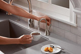 HC View Instant Hot and Cool Water Dispenser - Satin Nickel