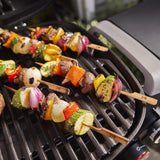 Q 2800N+ Gas Grill (Liquid Propane) - Midnight Black