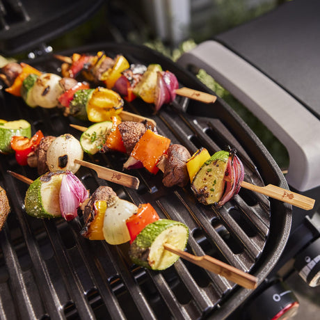 Q 2800N+ Gas Grill (Liquid Propane) - Midnight Black