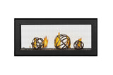 Vector? 38 See Through Direct Vent Gas Fireplace